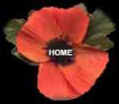 home2