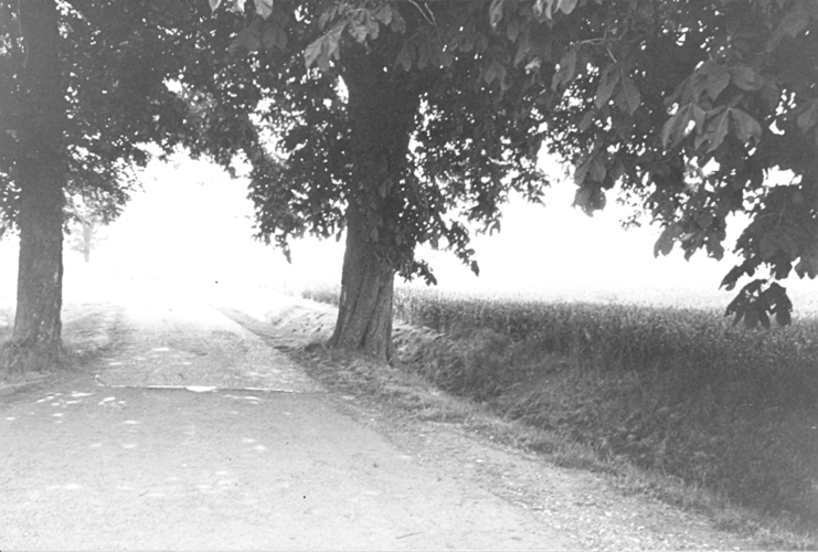 4 Ju 88 Bishops Stortford