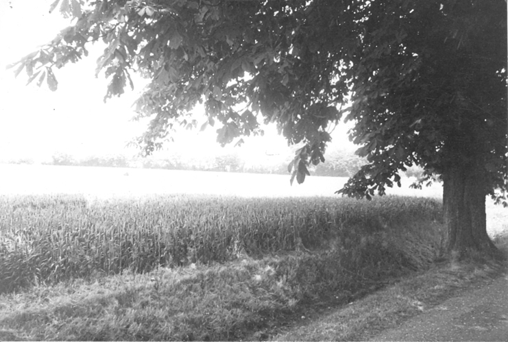 Ju 88 Bishops Stortford x3