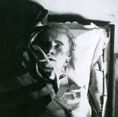 Wolf in the mortuary