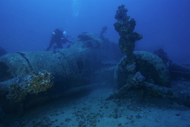 savoia-marcheti-sm.79--mm22229-marcello-perina002c-neri002c-manfrino002c-appolloni002c-zanch-2